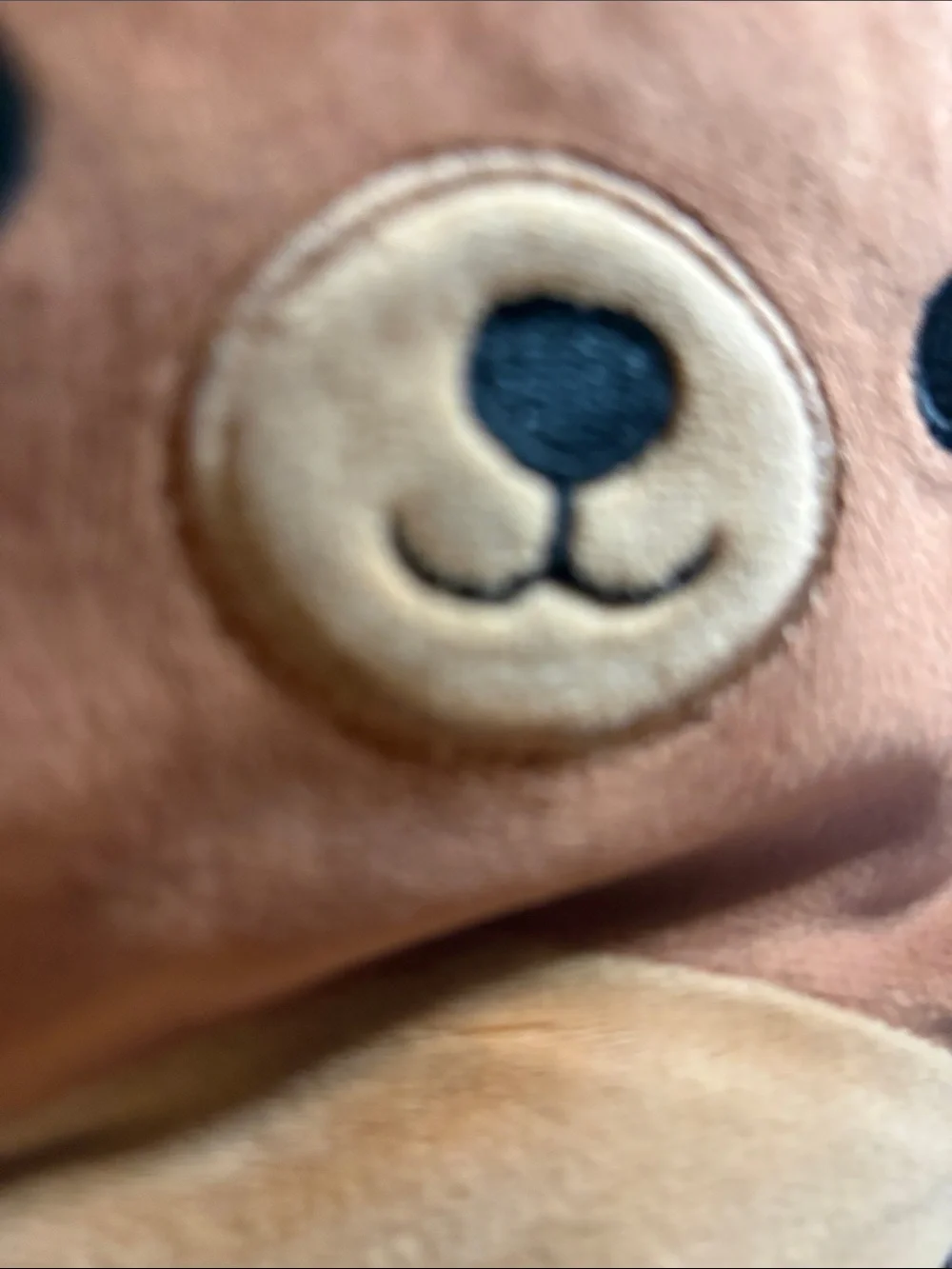 Squishmallows Walter Brown Bear Plush with Black Witch Hat
